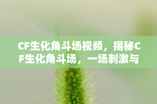 CF生化角斗场视频，揭秘CF生化角斗场，一场刺激与生存的较量