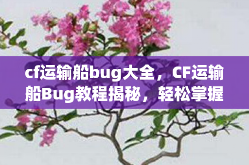 cf运输船bug大全,CF运输船Bug教程揭秘,轻松掌握游戏中的隐藏技巧 cf运输船bug大全,CF运输船Bug教程揭秘,轻松掌握游戏中的隐藏技巧