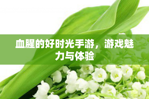 血腥的好时光手游，游戏魅力与体验