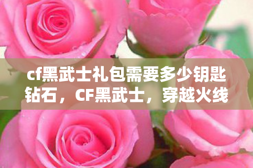 cf黑武士礼包需要多少钥匙钻石，CF黑武士，穿越火线中的神秘角色