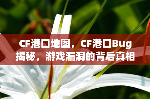 CF港口地图,CF港口Bug揭秘,游戏漏洞的背后真相 CF港口地图,CF港口Bug揭秘,游戏漏洞的背后真相