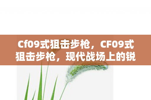 Cf09式狙击步枪，CF09式狙击步枪，现代战场上的锐利之眼