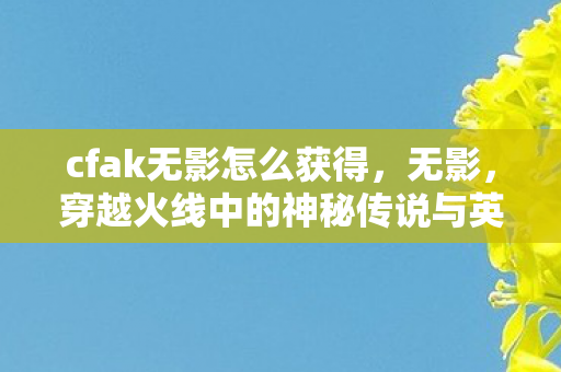 cfak无影怎么获得，无影，穿越火线中的神秘传说与英雄之路