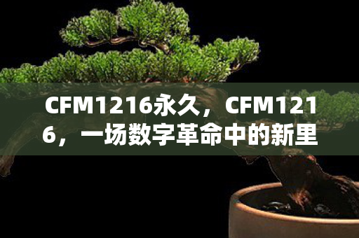 CFM1216永久,CFM1216,一场数字革命中的新里程碑 CFM1216永久,CFM1216,一场数字革命中的新里程碑