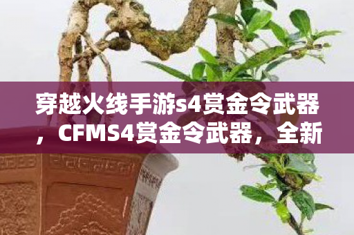 穿越火线手游s4赏金令武器，CFMS4赏金令武器，全新体验与独特魅力
