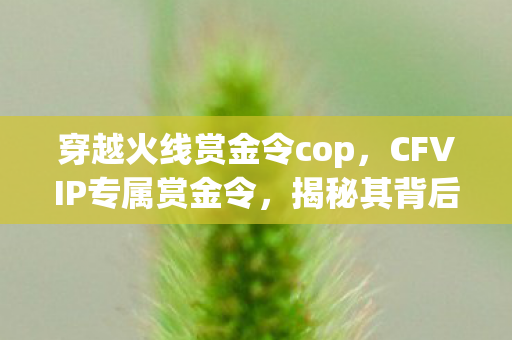 穿越火线赏金令cop,CFVIP专属赏金令,揭秘其背后的秘密与魅力 穿越火线赏金令cop,CFVIP专属赏金令,揭秘其背后的秘密与魅力