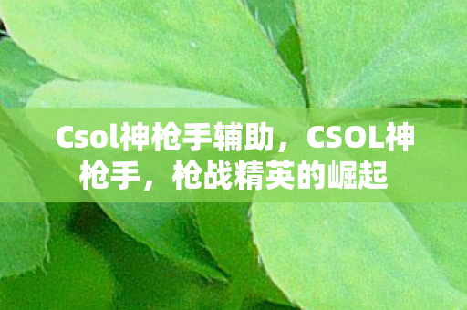 Csol神枪手辅助，CSOL神枪手，枪战精英的崛起