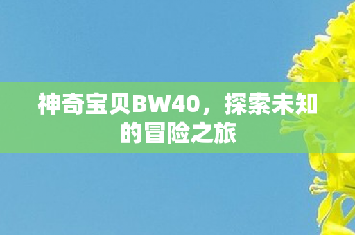 神奇宝贝BW40，探索未知的冒险之旅