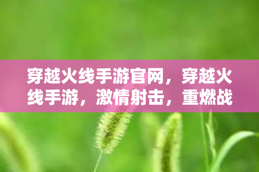 穿越火线手游官网,穿越火线手游,激情射击,重燃战火! 穿越火线手游官网,穿越火线手游,激情射击,重燃战火!