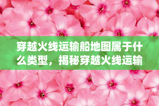 穿越火线运输船地图属于什么类型，揭秘穿越火线运输船中的神秘Bug