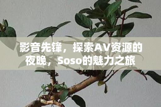 影音先锋，探索AV资源的夜晚，Soso的魅力之旅