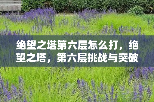 绝望之塔第六层怎么打，绝望之塔，第六层挑战与突破
