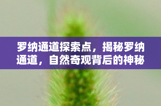 罗纳通道探索点，揭秘罗纳通道，自然奇观背后的神秘故事