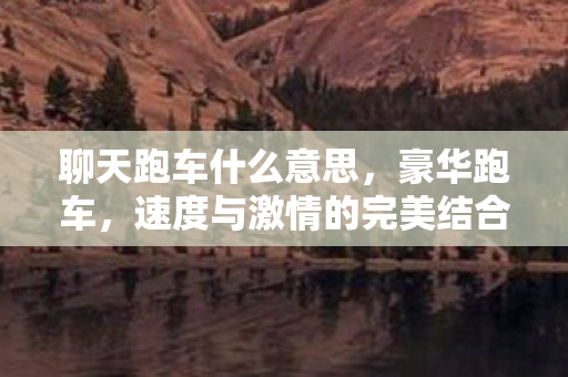 聊天跑车什么意思，豪华跑车，速度与激情的完美结合—聊天跑车之旅