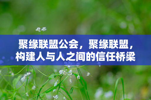聚缘联盟公会，聚缘联盟，构建人与人之间的信任桥梁