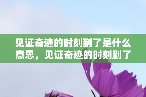 见证奇迹的时刻到了是什么意思，见证奇迹的时刻到了，揭开未知的面纱，探寻奇迹的真相