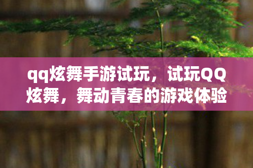 qq炫舞手游试玩，试玩QQ炫舞，舞动青春的游戏体验