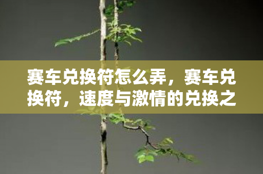 赛车兑换符怎么弄，赛车兑换符，速度与激情的兑换之道