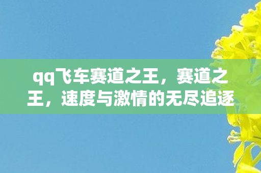 qq飞车赛道之王，赛道之王，速度与激情的无尽追逐