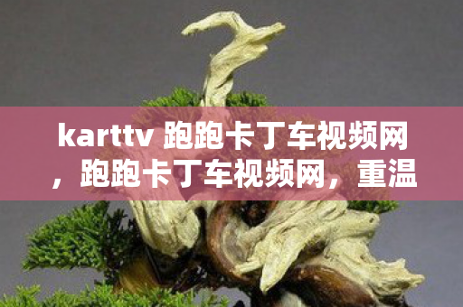 karttv 跑跑卡丁车视频网，跑跑卡丁车视频网，重温经典，感受竞速激情