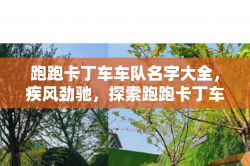跑跑卡丁车车队名字大全，疾风劲驰，探索跑跑卡丁车车队名字背后的故事