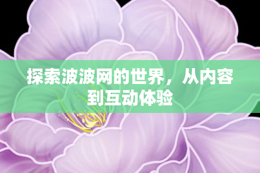探索波波网的世界，从内容到互动体验