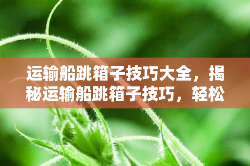 运输船跳箱子技巧大全，揭秘运输船跳箱子技巧，轻松掌握高效物流运作之道