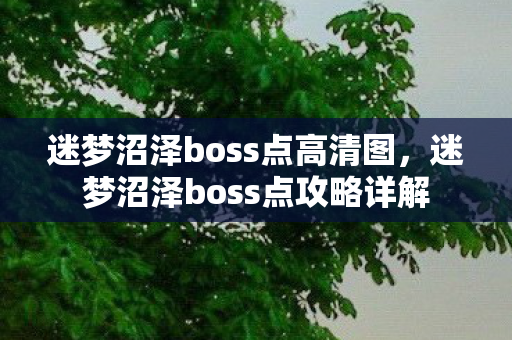 迷梦沼泽boss点高清图，迷梦沼泽boss点攻略详解
