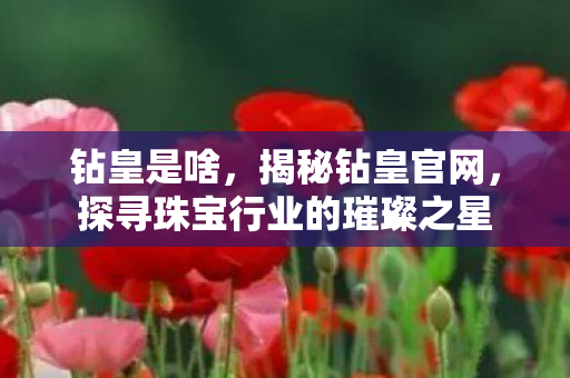 钻皇是啥，揭秘钻皇官网，探寻珠宝行业的璀璨之星