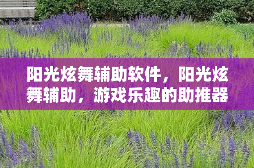 阳光炫舞辅助软件，阳光炫舞辅助，游戏乐趣的助推器