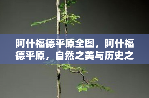 阿什福德平原全图，阿什福德平原，自然之美与历史之韵的交融胜地