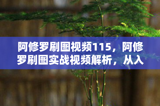 阿修罗刷图视频115,阿修罗刷图实战视频解析,从入门到精通 阿修罗刷图视频115,阿修罗刷图实战视频解析,从入门到精通