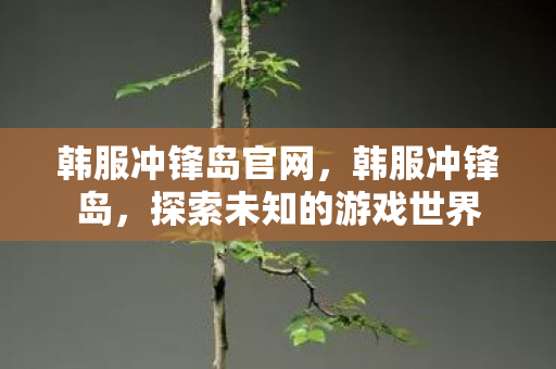 韩服冲锋岛官网，韩服冲锋岛，探索未知的游戏世界