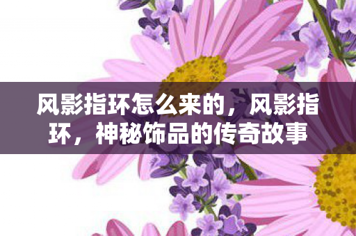 风影指环怎么来的，风影指环，神秘饰品的传奇故事