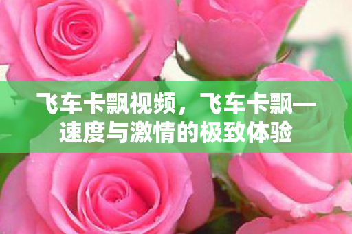 飞车卡飘视频,飞车卡飘—速度与激情的极致体验 飞车卡飘视频,飞车卡飘—速度与激情的极致体验