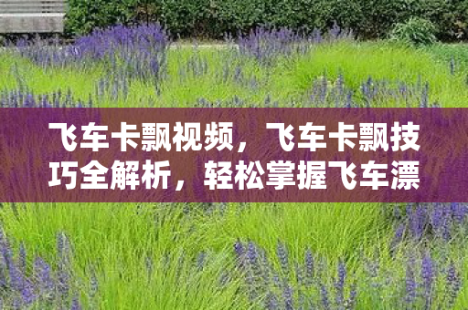 飞车卡飘视频，飞车卡飘技巧全解析，轻松掌握飞车漂移的艺术