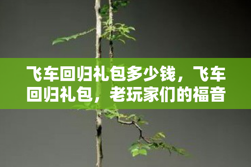 飞车回归礼包多少钱，飞车回归礼包，老玩家们的福音！