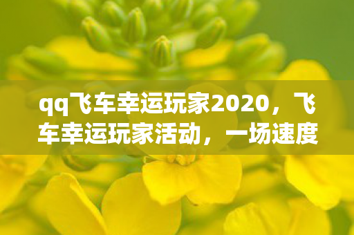 qq飞车幸运玩家2020，飞车幸运玩家活动，一场速度与激情的狂欢盛宴