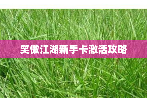 笑傲江湖新手卡激活攻略