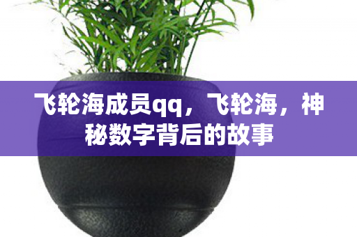 飞轮海成员qq，飞轮海，神秘数字背后的故事