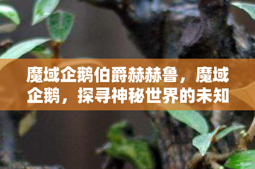 魔域企鹅伯爵赫赫鲁，魔域企鹅，探寻神秘世界的未知奇迹