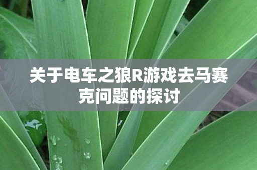 关于电车之狼R游戏去马赛克问题的探讨
