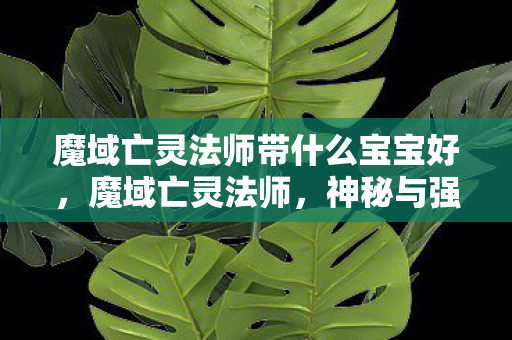 魔域亡灵法师带什么宝宝好，魔域亡灵法师，神秘与强大的结合体