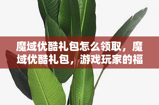 魔域优酷礼包怎么领取，魔域优酷礼包，游戏玩家的福利盛宴