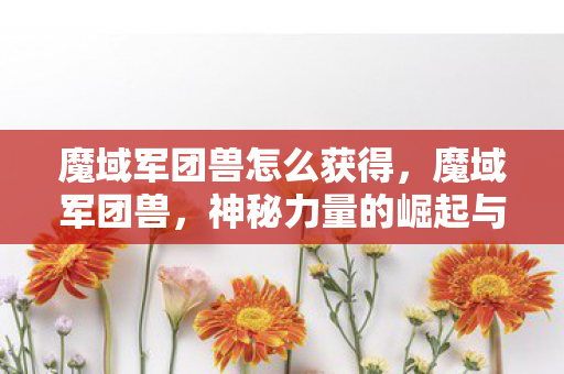 魔域军团兽怎么获得，魔域军团兽，神秘力量的崛起与征服之路