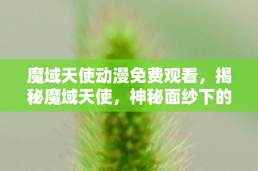 魔域天使动漫免费观看，揭秘魔域天使，神秘面纱下的传奇存在