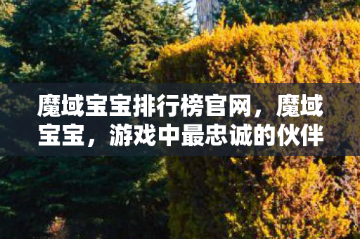魔域宝宝排行榜官网，魔域宝宝，游戏中最忠诚的伙伴