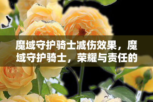 魔域守护骑士减伤效果，魔域守护骑士，荣耀与责任的象征