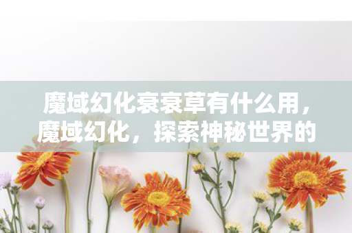 魔域幻化衰衰草有什么用，魔域幻化，探索神秘世界的无尽魅力
