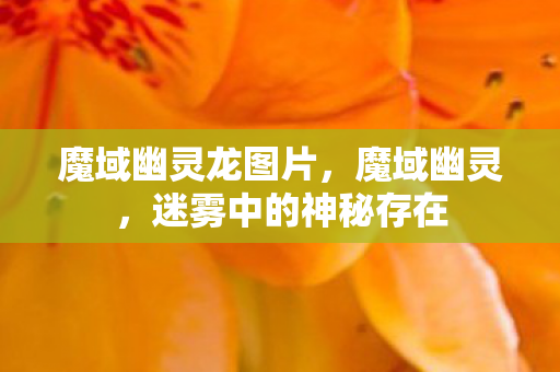 魔域幽灵龙图片，魔域幽灵，迷雾中的神秘存在